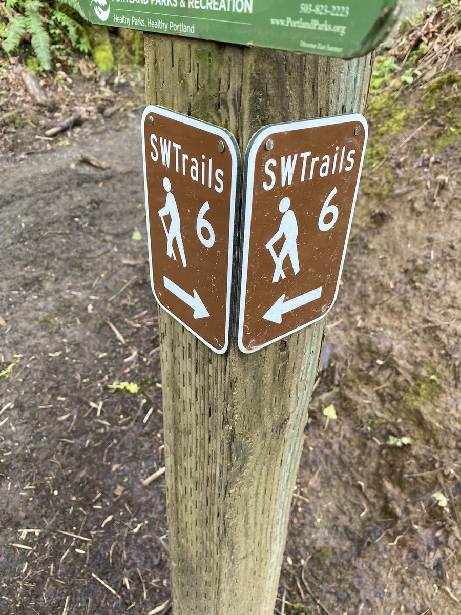 JennyWoodman's tweet photo. Morning in Marshall Park was magical, but must confess: I don’t find the trail markers very helpful. Each w/arrow pointing in different directions + 6. Every sign. 

#walkswithwinston #bleptomaniac #cityforests #urbanwildlife #tryoncreek #owlcreek https://t.co/rNxFQSF4Es