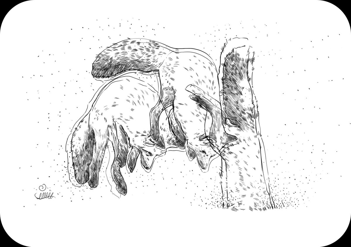 Zanerhem (@zanerhem) on Twitter photo 