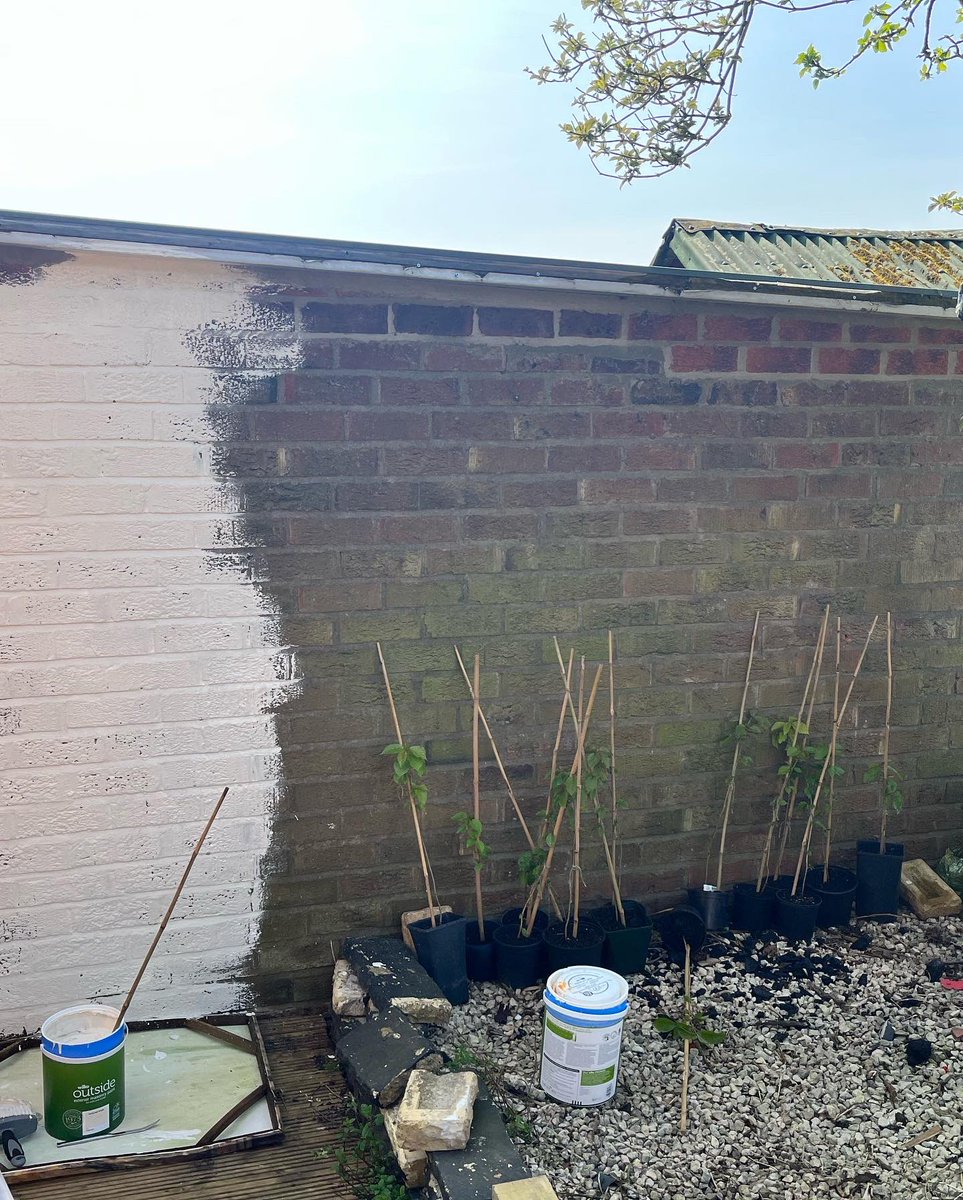 Tooks007's tweet photo. Old garage wall into a feature wall, made with a shower curtain, a tin of paint & some old shutters ๐#easterproject #GardeningTwitter https://t.co/XhjG6Wv8dy