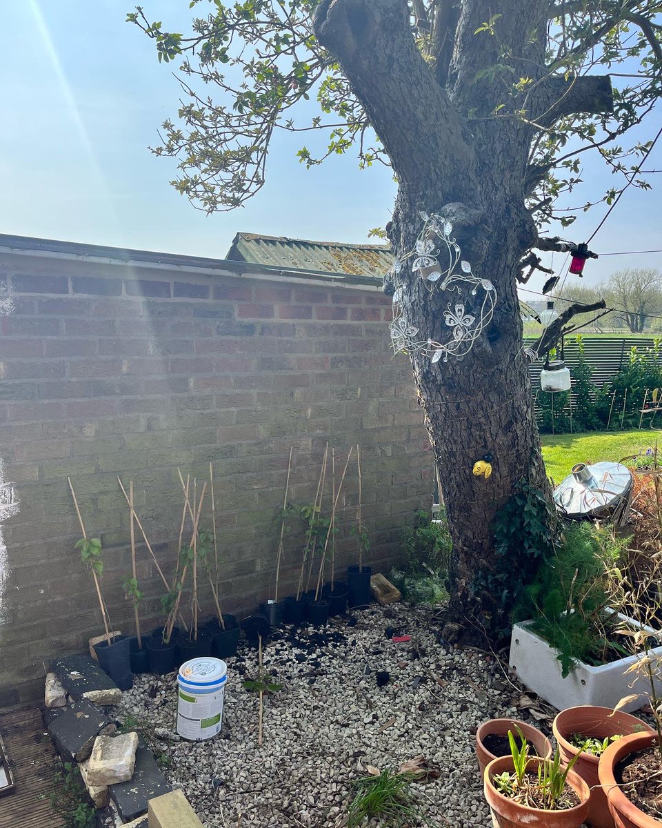 Tooks007's tweet photo. Old garage wall into a feature wall, made with a shower curtain, a tin of paint & some old shutters ๐#easterproject #GardeningTwitter https://t.co/XhjG6Wv8dy