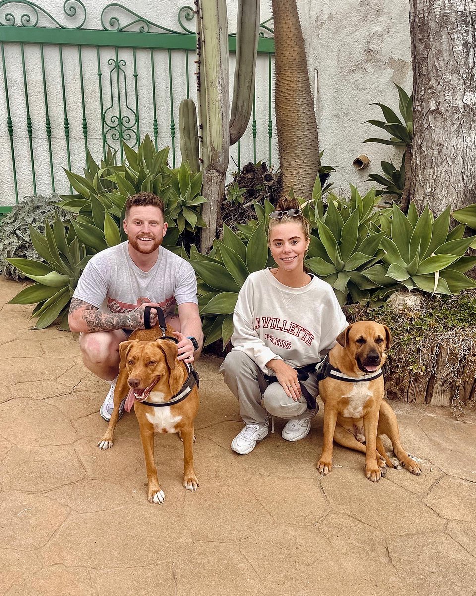 Behzinga's tweet photo. my dargs https://t.co/pNzBYITOfp https://t.co/9M1AsmHm2S