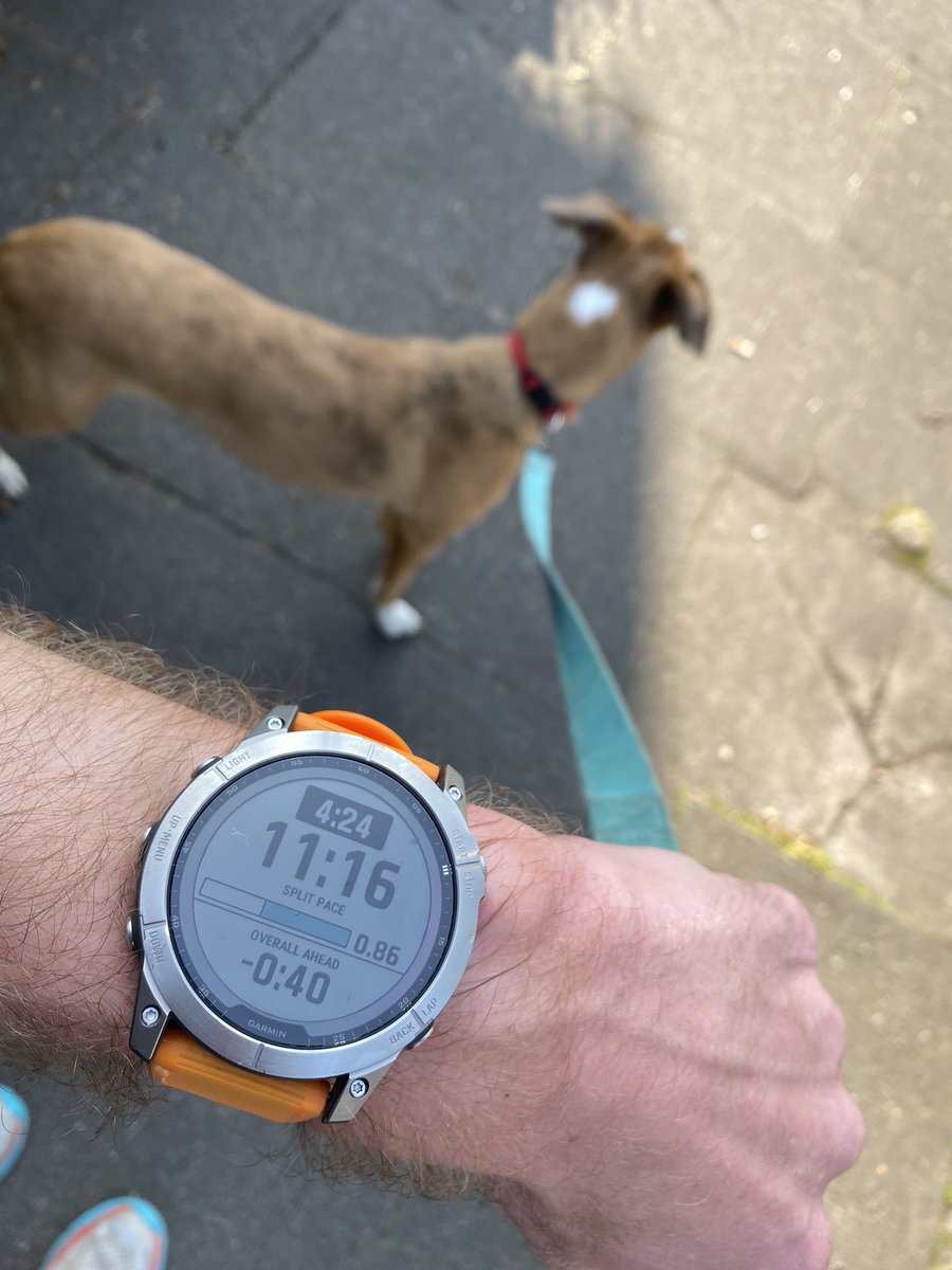 Turns out the dog is off form. As a result a terrible paceman 

Would have been much better just to listen to the #Garmin #fenix7x