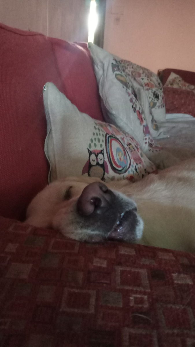 profelopezp's tweet photo. Pa mi que el #Awkan está con la caña mala https://t.co/fLv8UR6SOf