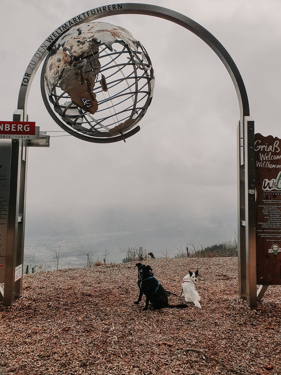 xkirschexx's tweet photo. Bründlweg 😊
#friends #picture #austria #steiermark #kapfenberg #bründlweg #pogusch #pictureoftheday #dog #dogs #love #photography #NFTCommunity https://t.co/JlzXSwZB0e