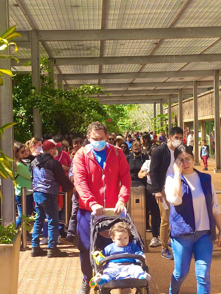 arruajm's tweet photo. #SemanaSanta en #Misiones 

#SaltoEncantado otro de los atractivos turísticos elegido por cientos de visitantes para seguir disfrutando de la Tierra Sin Mal. 

#SabadoDeGloria 
#SemanaSanta2022 https://t.co/jWv0ImhE7G