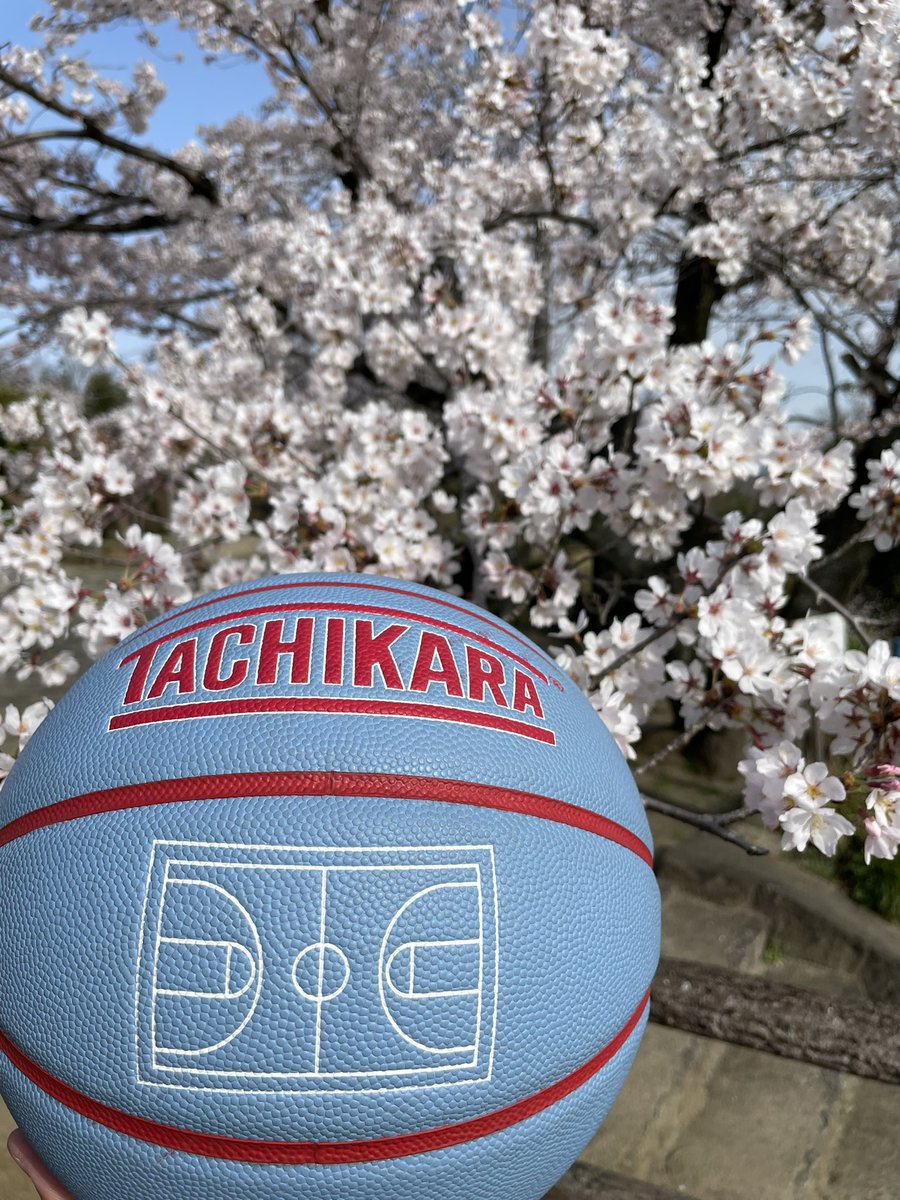 basketcourtfor's tweet photo. ๆกใฏๆฃใฃใฆใๆฌกใฏๆฐ็ทใฎไธญใง๐ใๆฅฝใใโบ๏ธ #ใในใฑใคใใณใ #ใใใใซใทใง #courtforall #ๆดใใ https://t.co/TnnKIZiFhN
