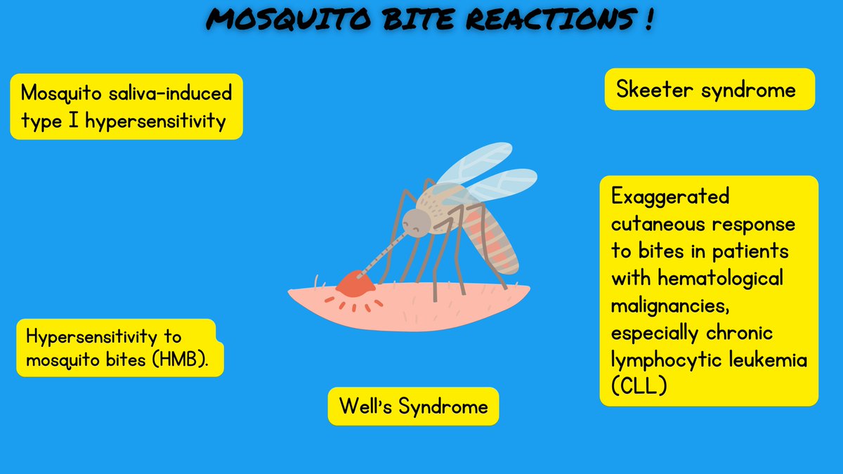 1/17“The skin truly can be a mirror of what’s going on inside the body “ During a  #CPSbootcamp conversation we started discussing mosquito bites. How they can be a signal to internal disease ? Let's explore  @deboracloureiro  @KirtanPatolia  @CPSolvers  @seymss15  #MedTwitter