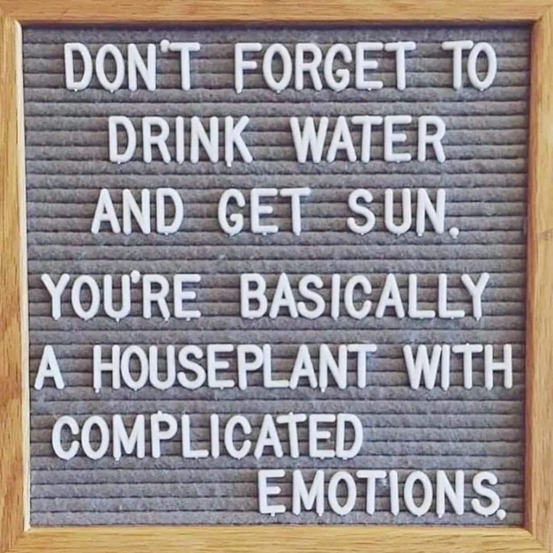 Sounds about right. 💯