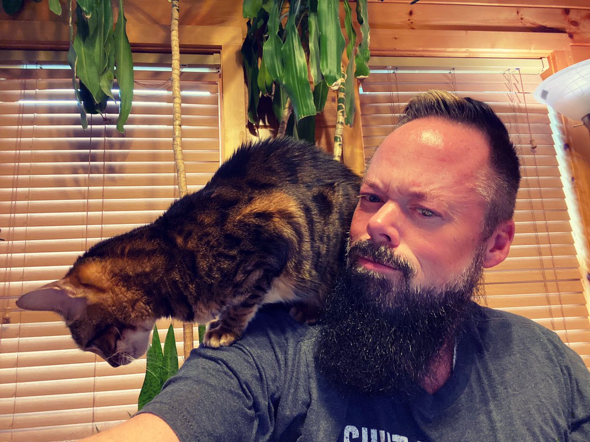 SFortuneH's tweet photo. Happy #caturday 🐈⬛
Apparently, this #bengal thinks this #bearded #bear’s 🐻 shoulder is the best spot for her to sit.✅
Not sure I agree.
#bearsofinstagram #bengals #bears #catsofinstagram #bengalsofig #beardsofsinstagram #beardsofig #sidebeard #vikingstyle https://t.co/JI41Wx7Cfp