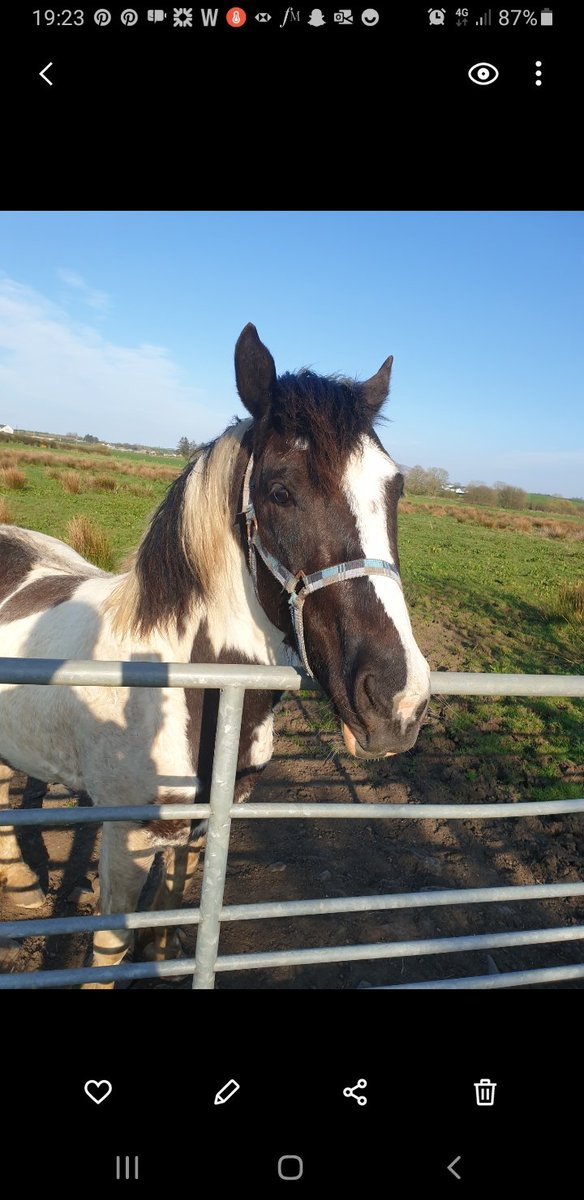 Highheeledlady's tweet image. Gorgeous Easter Sat! Home is good 😃 ootd wiwt #springinspired  @MajeParis #northcoast