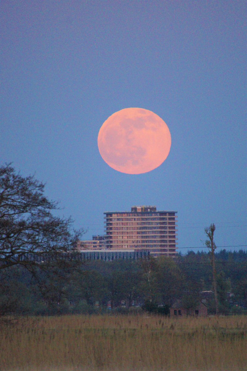 stefanuit8terbe's tweet photo. #Maan Opkomst #Moonrice bij #DeRimboeAchterberg
#Binnenveld #Rhenen #wageningen https://t.co/z5XD6TTDbg