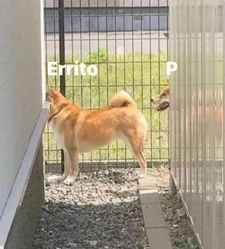 Aka (@_akamomo_) on Twitter photo 