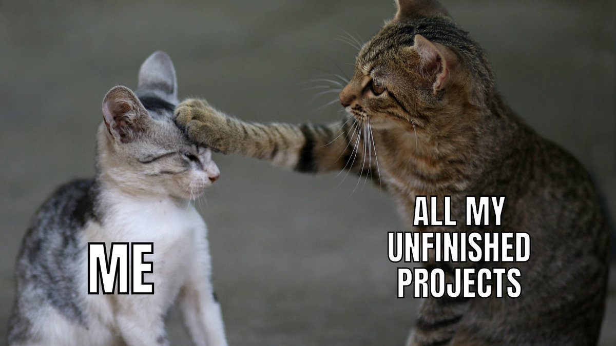 digikey's tweet photo. Perfect #caturday to start something new https://t.co/wm0uiwQJKO
