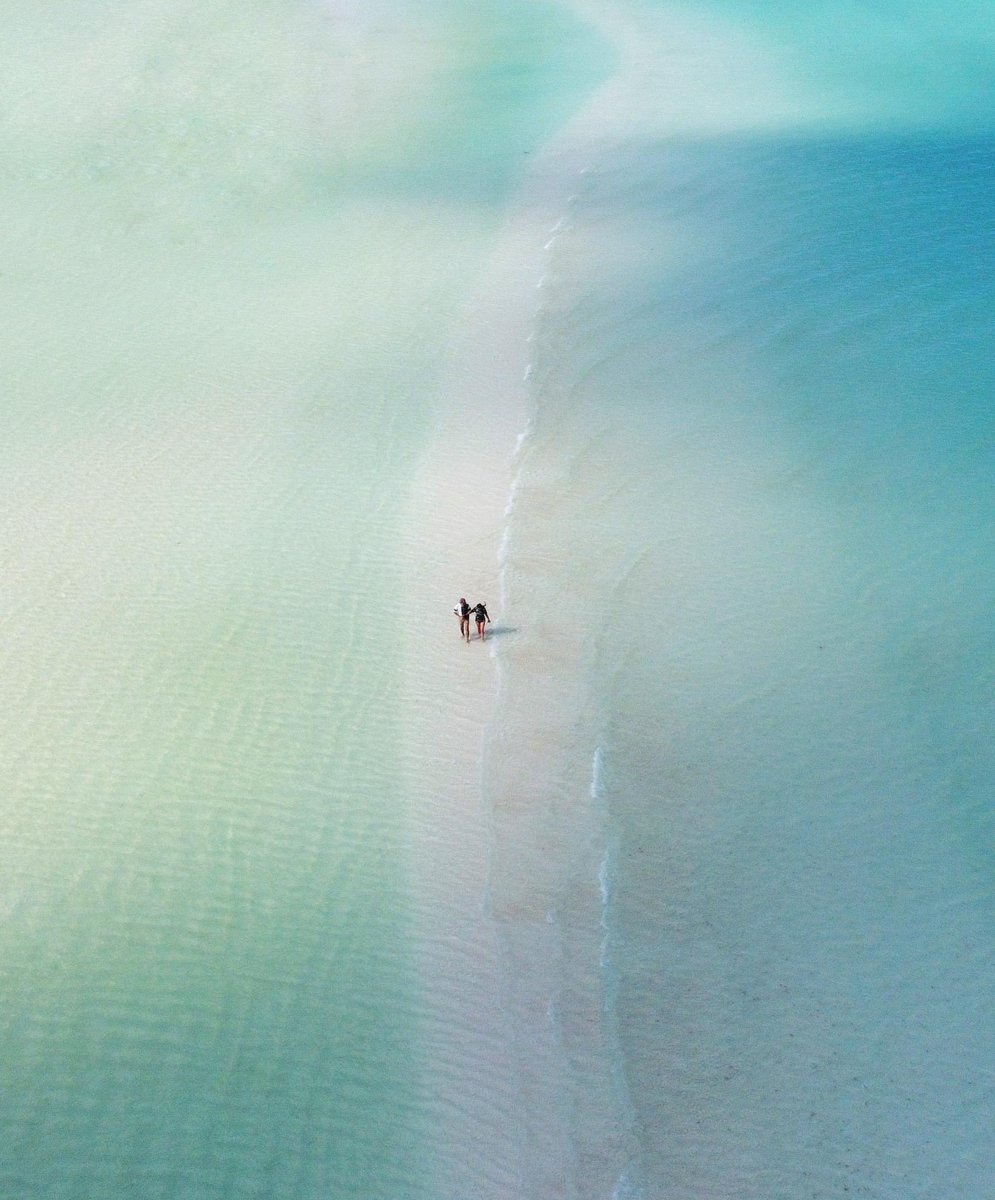 playafast's tweet photo. Caminar en medio del mar es posible en Holbox, un paraíso del Caribe Mexicano. #UnPedacitodeQuintanaRoo #playafast #holbox #vacation #vacacionesenfamilia #vacaciones https://t.co/Wbuir5QvKp