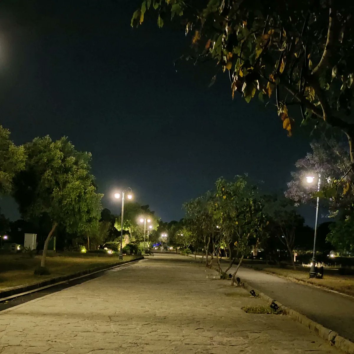 shahidrahim's tweet photo. Pakistani Politics who cares?? Travel, Food, Friends and many more to discuss, Night Walk with Moeen Akhtar .
#walk #F9parkislamabad #f9park https://t.co/cYghXvRLvU