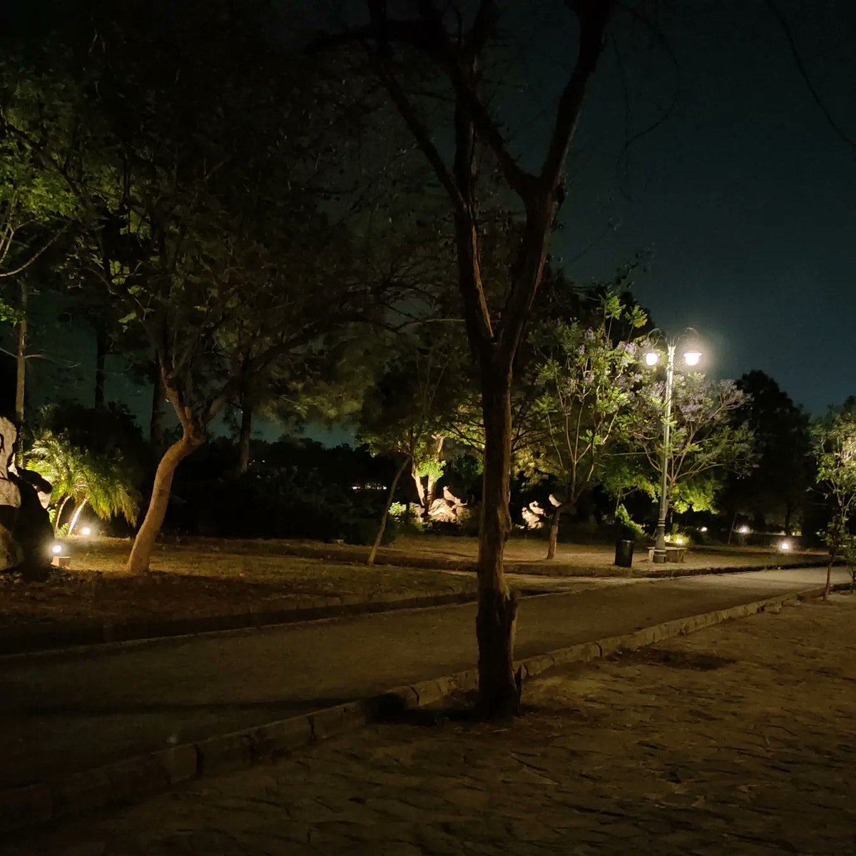 shahidrahim's tweet photo. Pakistani Politics who cares?? Travel, Food, Friends and many more to discuss, Night Walk with Moeen Akhtar .
#walk #F9parkislamabad #f9park https://t.co/cYghXvRLvU