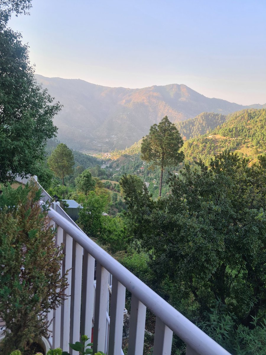 ChaviSometimes's tweet photo. Mountains are my happy place ⛰️
#view #travel https://t.co/gfjETNOpmo