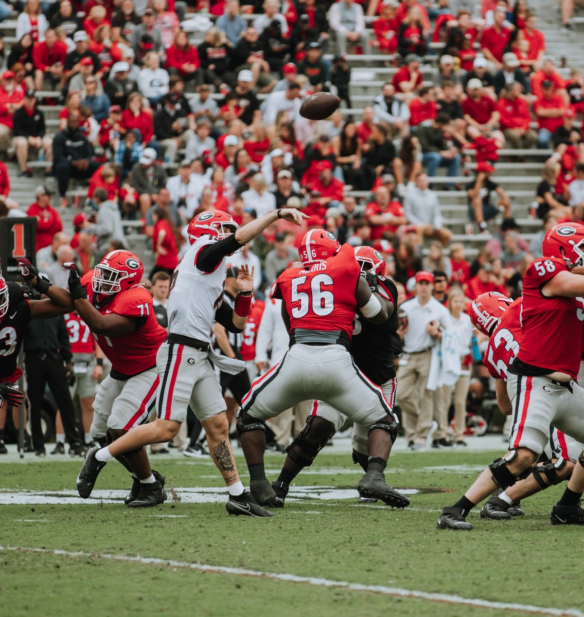 BD_illustrated's tweet photo. Action from between the hedges: https://t.co/xI5g6QWZbO