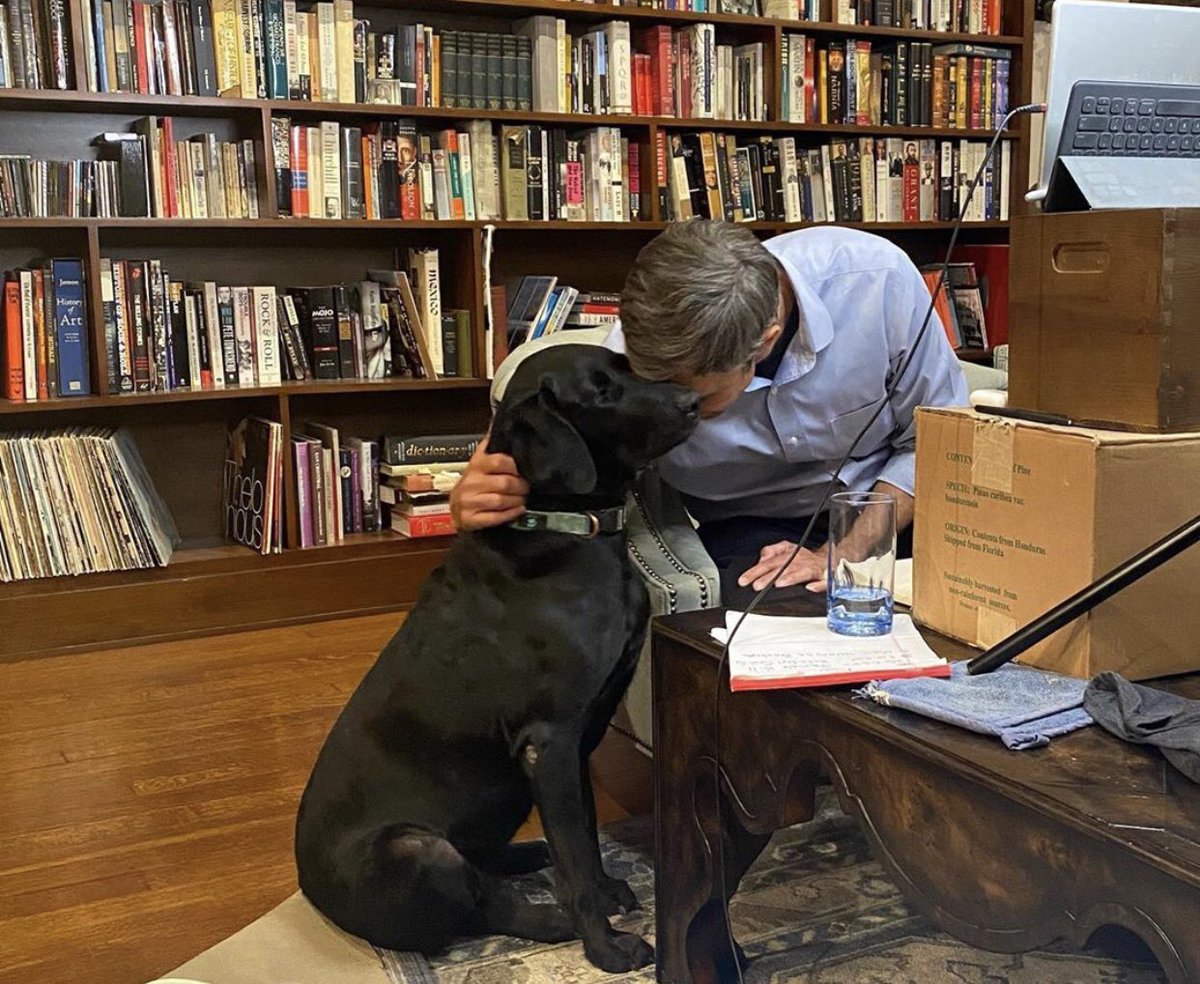 First_Dog_USA's tweet photo. 🐾 Woof woof! I have an impawrtant message: if you believe all Texans deserve better, vote for my dad @BetoORourke! It’s time for all hoomans &amp; pets in #Texas to have a governor who cares about them! #BetoForGovernor #HappyEaster https://t.co/aJvPYcs513