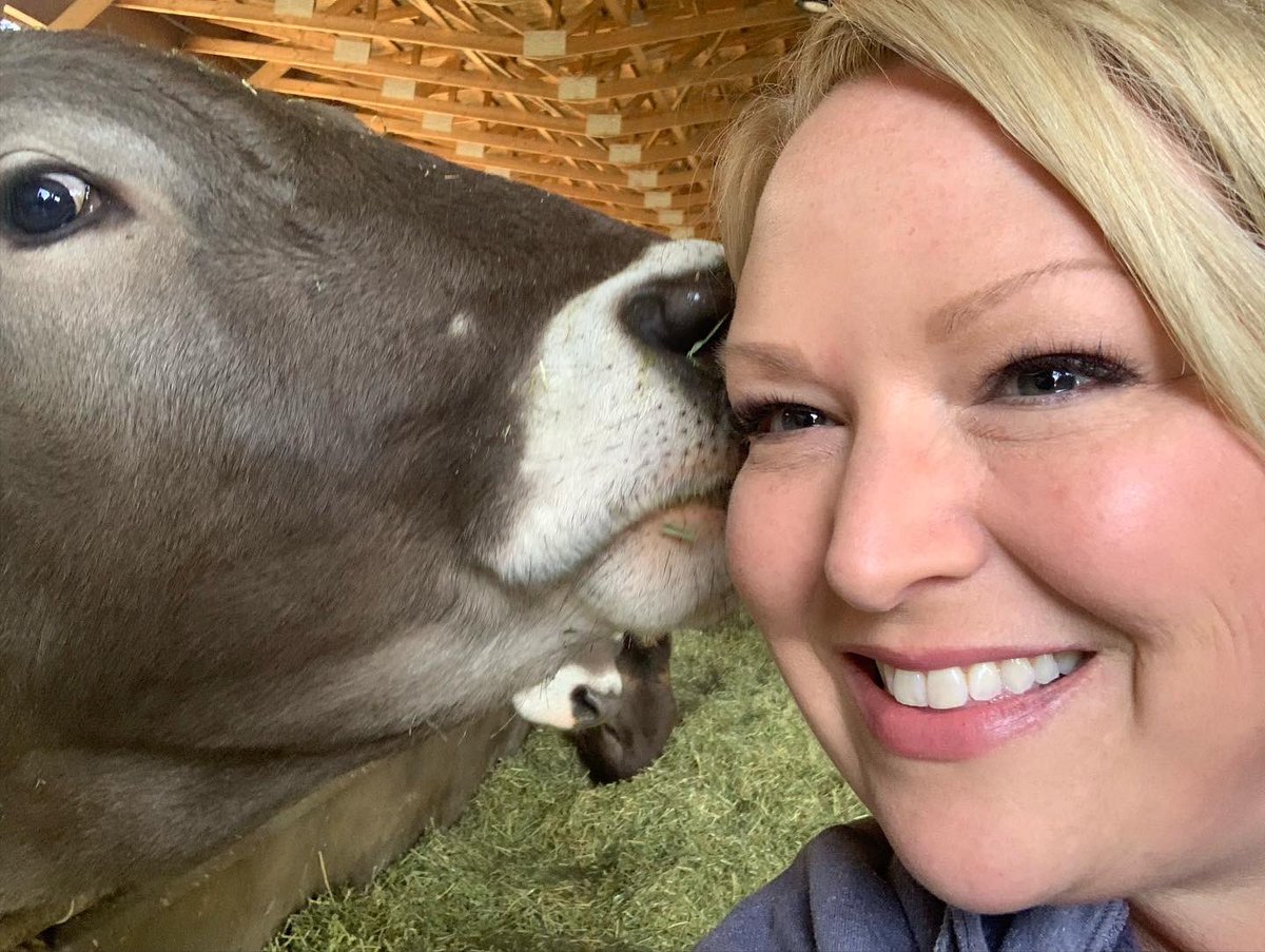 kellipaddon's tweet photo. Fantastic morning in #ChilliwackKent at @creeksidecheese for their #MooLetTheCowsOut event! There were indeed frolicking cows excited to be out, as well as yummy snacks to be enjoyed.
Great to see so many people out to welcome spring 🌼
#BCDairy #BuyBC #GrowBC #FeedBC https://t.co/t2C4PLL8wt