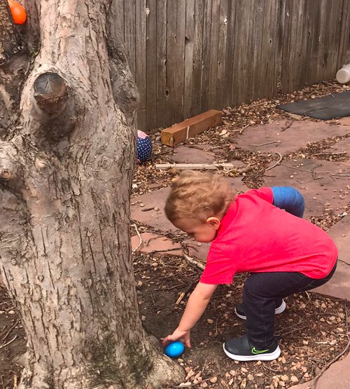 sonflowerz's tweet photo. Finding every egg possible with his left hand, not to be denied the JOY of an Easter Egg Hunt! Just one more week wearing the cast on his right arm.

Head over to https://t.co/svNKvODpFA for a quick Easter devotional, a much-needed reminder to myself how amazing Sunday really is. https://t.co/ADxKldcwdA