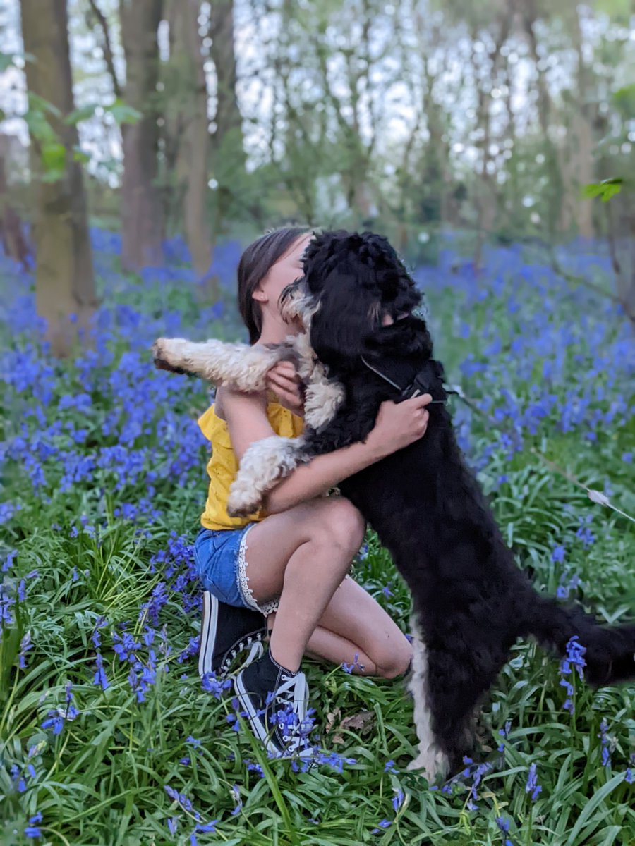 AlisonDaniel's tweet photo. Puppy cuddles 🥰 https://t.co/ewkIFHcTMt