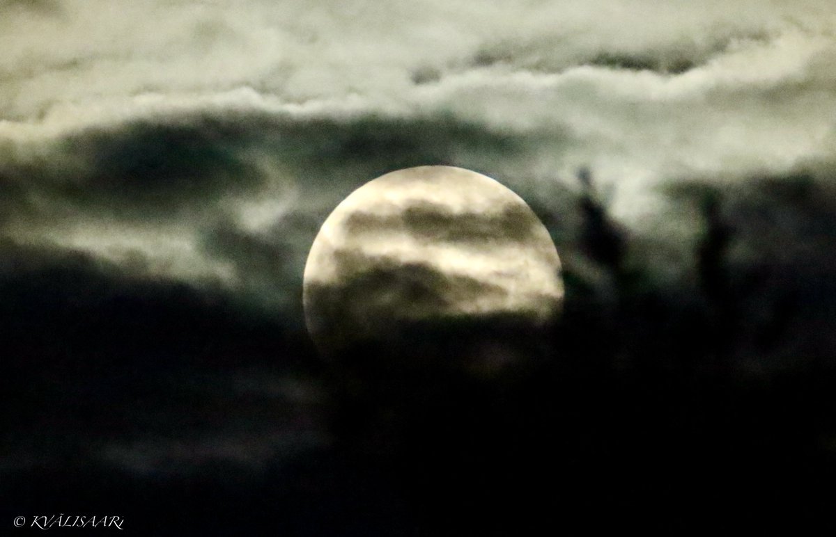 KValisaari's tweet image. Lankalauantaina täyskuu pilviharson takana #täyskuu #fullmoom #pilvi #cloud #valokuvaus #photography