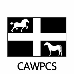 Showing Scene tweet media