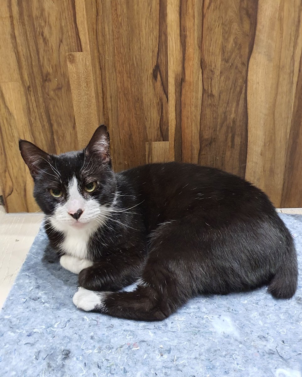 FeastBox tweet media