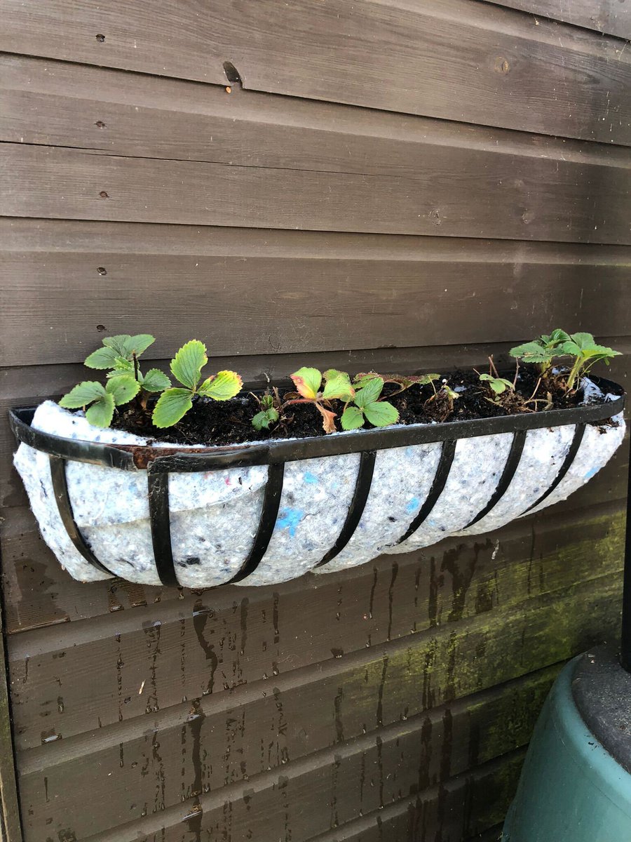 FeastBox tweet media