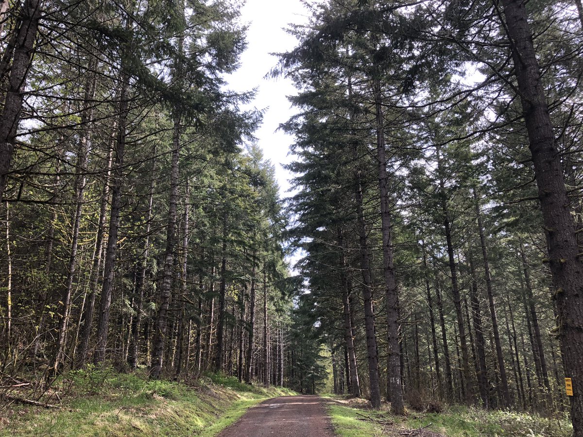 Brian Knaus tweet media