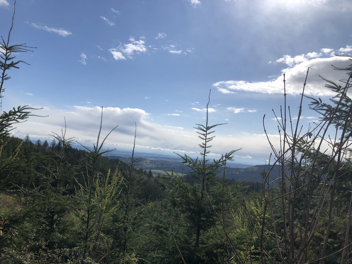 Brian Knaus tweet media