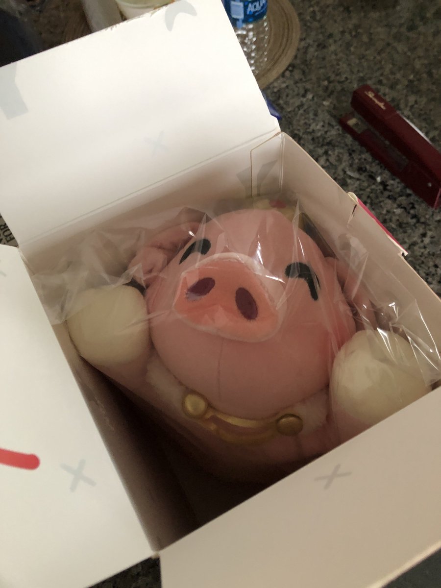 SnowySkies_'s tweet photo. HE HAS ARRIVED!!!! #technoplush #technoflop #technoblade https://t.co/fhO8LgkKrq