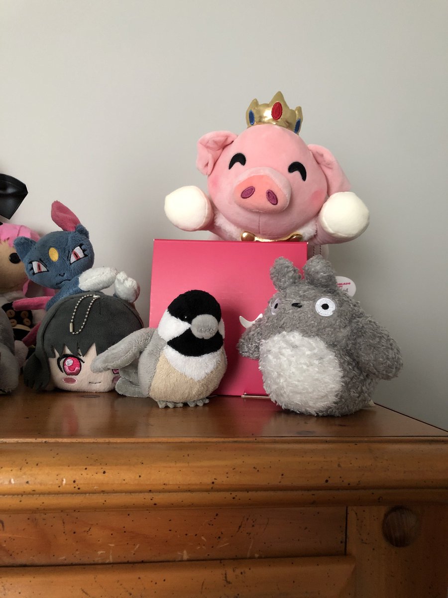 SnowySkies_'s tweet photo. HE HAS ARRIVED!!!! #technoplush #technoflop #technoblade https://t.co/fhO8LgkKrq