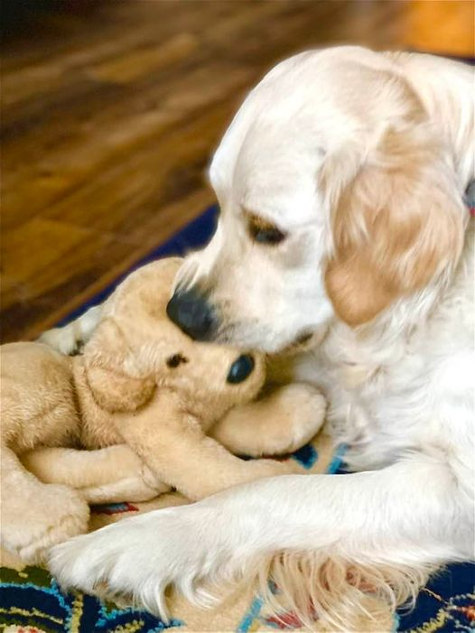 After 3 boys I finally have a girl who likes to play with her “baby”.  Sadly she may be a mother who eats her young.  Yet another reason I prefer to lead by horrible warning instead of example.