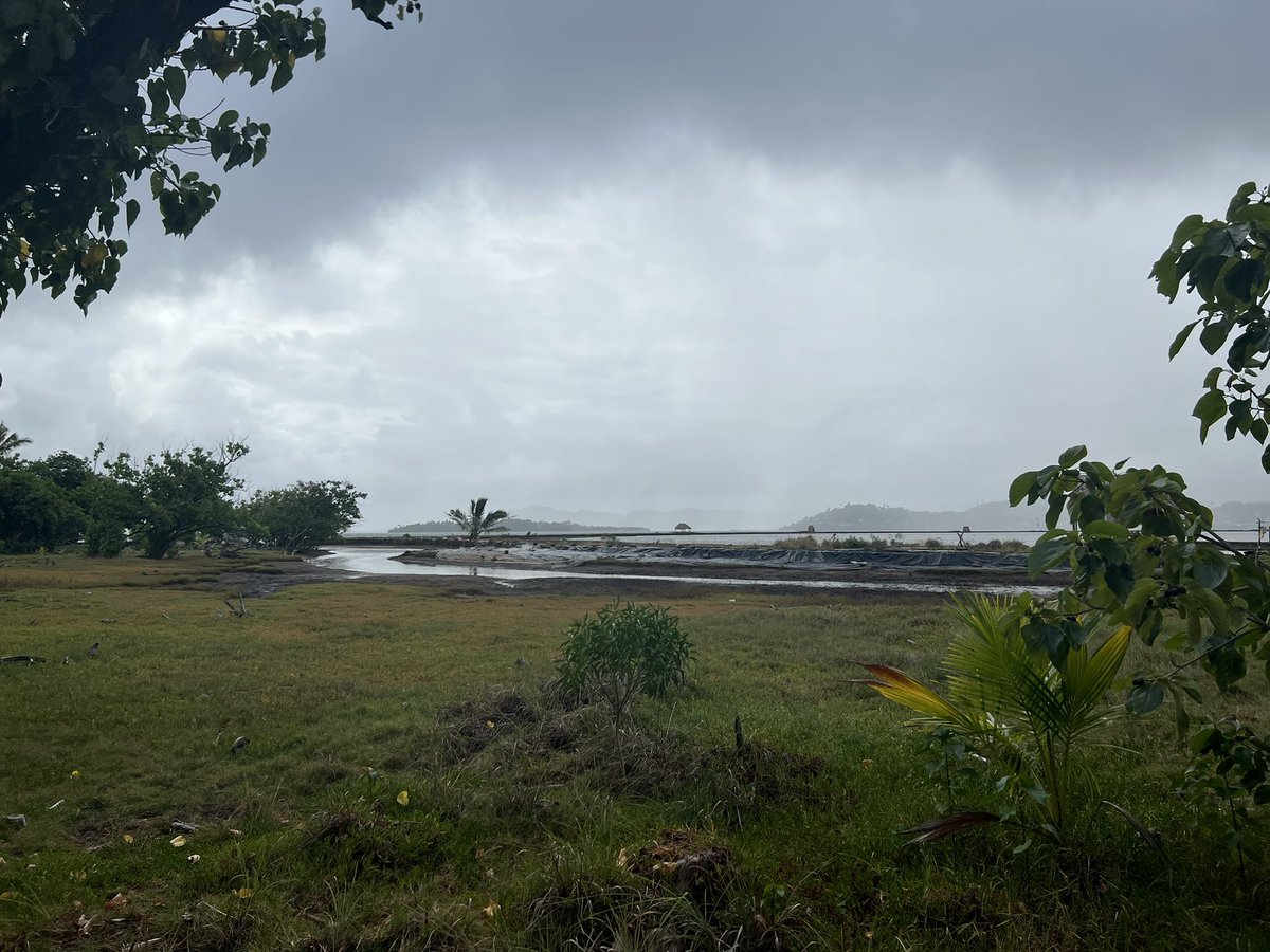 JGDeafLead's tweet photo. Volunteering with my son and his friends. They have made an Invasive and Endangered Species club. They decided to wake up early on a Saturday and volunteer at He’eia State Park. #environmentalawesomeness https://t.co/KKeTAQiyYG