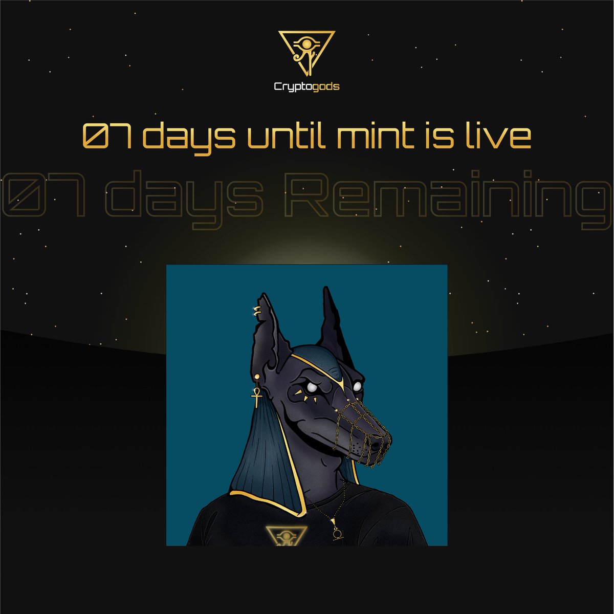 Crypto Gods tweet media