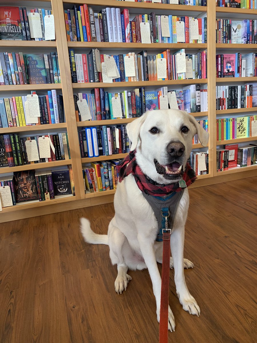 Waylon wants to know: which book should he read today??