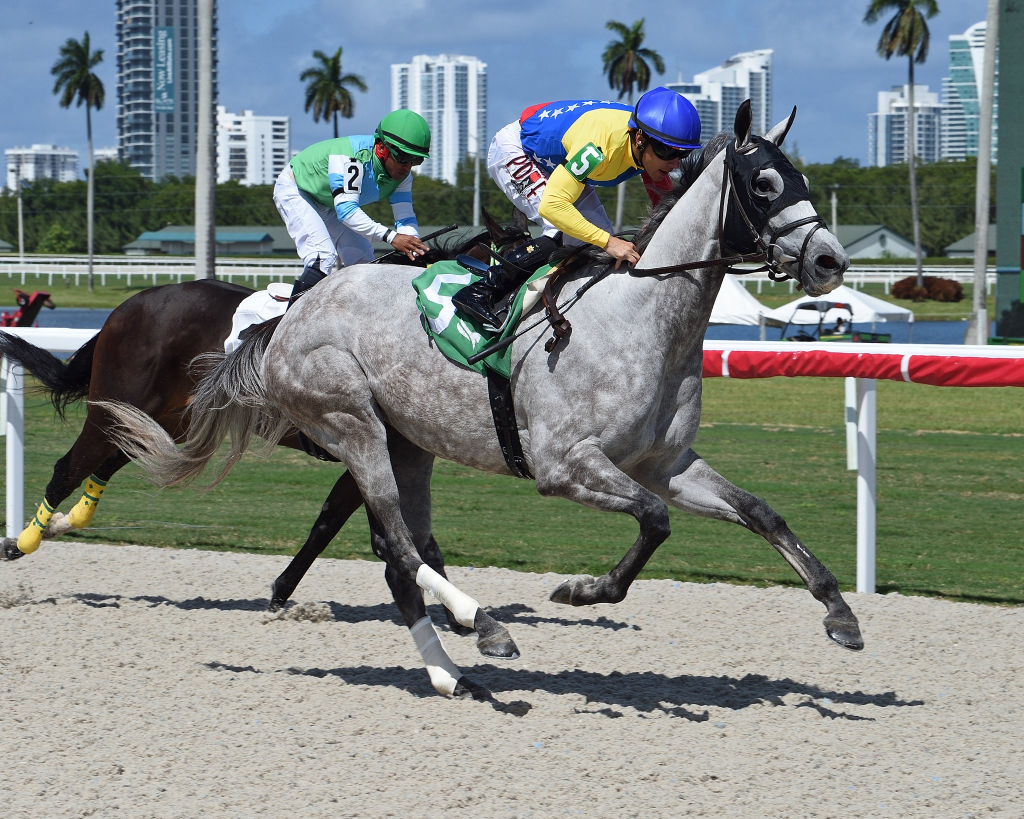 Gulfstream Park Horse Race Results - 8inaovt