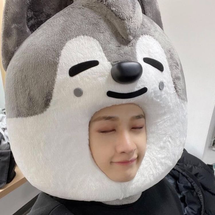 quokka_lu's tweet image. dale click al corazoncito para animar tu día

                              [♡]