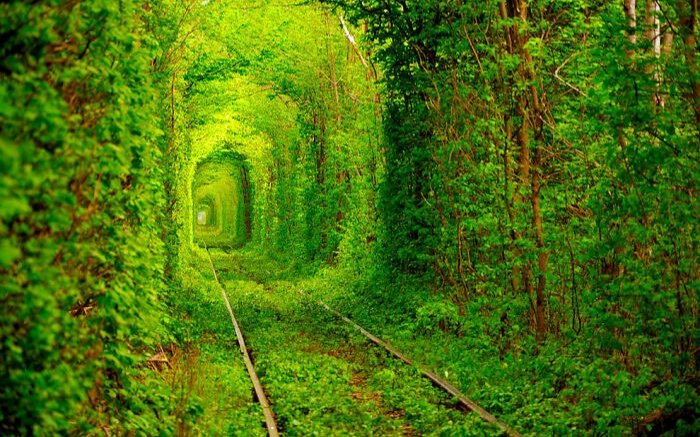 Shilohsoftware's tweet image. Ukraine 
Tunnel of Love