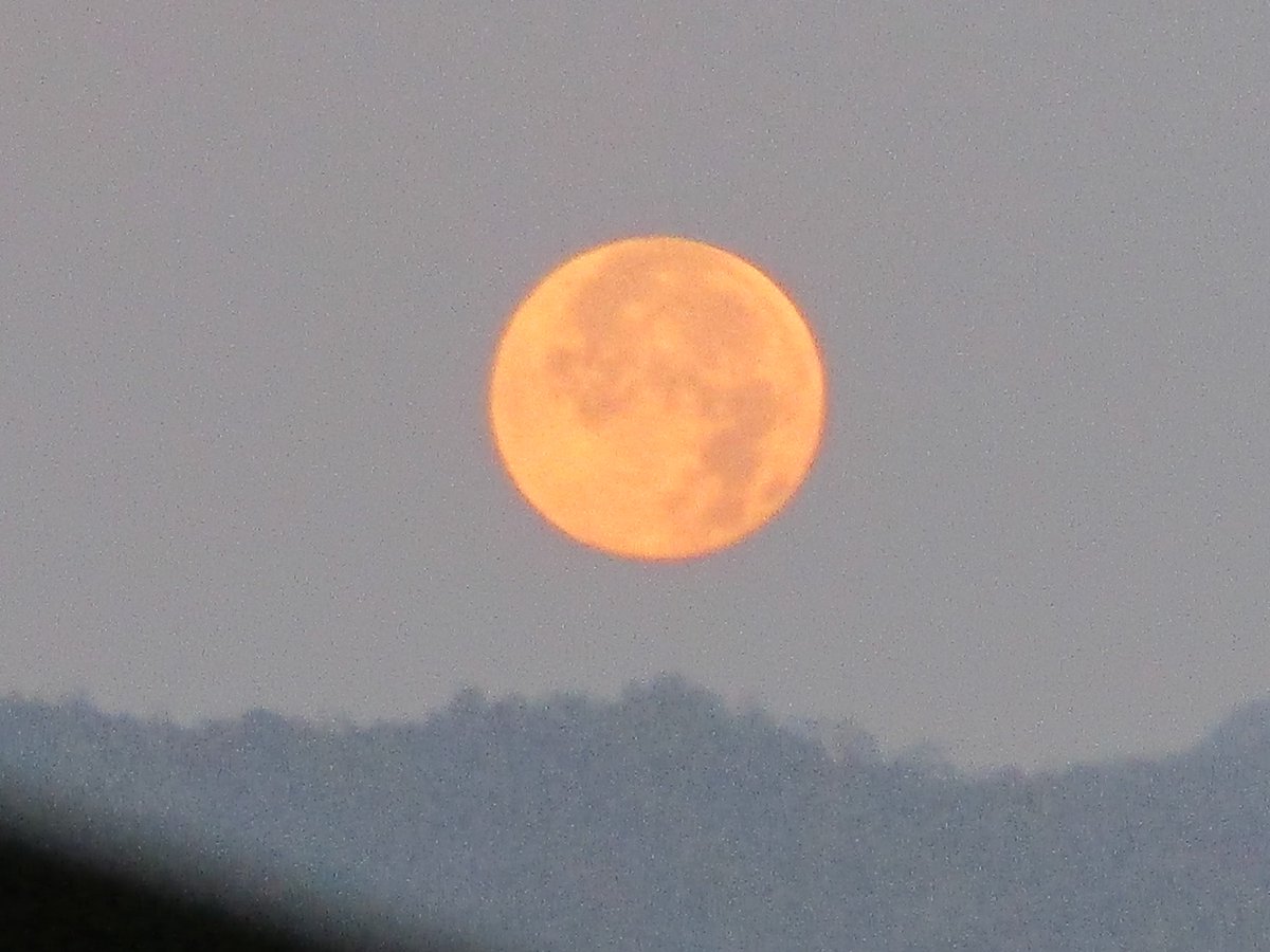 MM89464588's tweet photo. Happy Easter Full Moon ! ~復活の日のフルムーンというのでしょうか、～ウクライナに平和を！！ https://t.co/pOCVsObpoS