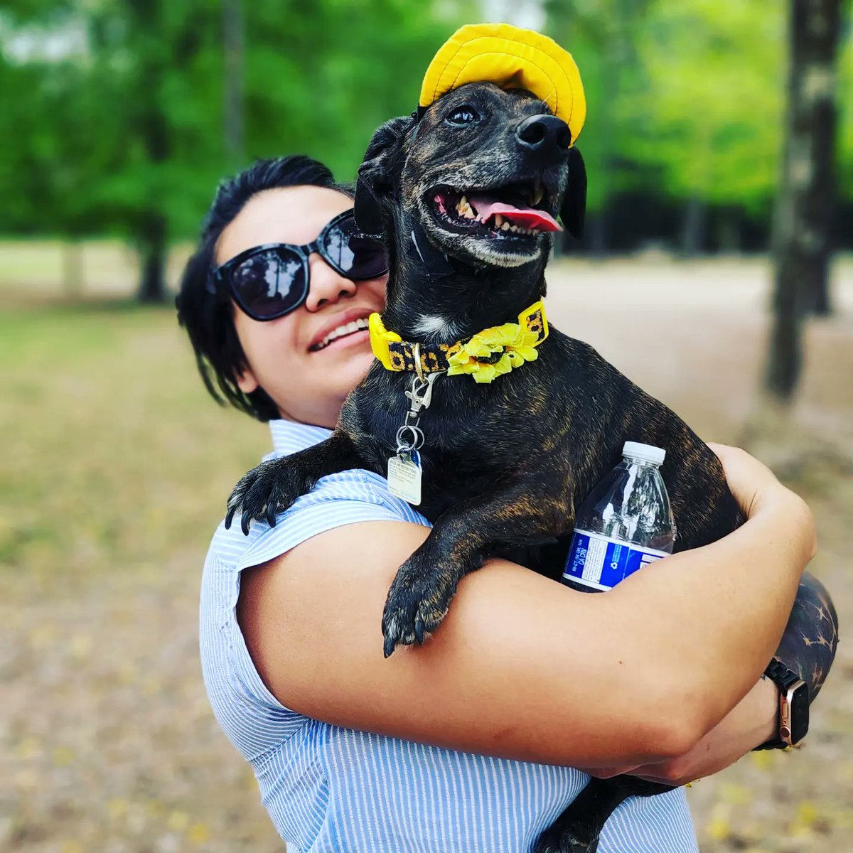 hcec911's tweet photo. April is Canine Fitness Month and what better way to celebrate than with our four-legged friends at John Pundt Park in Spring.
Thank you to the HCEC Wellness Committee for scheduling this fun "Bark in the Park" day!
#hcec911 #barkinthepark https://t.co/X96TOu2A91