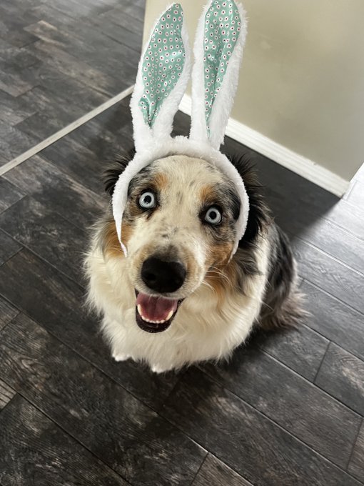 Moe said he&rsquo;s ready for the bunny 😂 https://t.co/UQFKANlFVf<a href="/tag/lgbtqneveralone"class="tags"><span>#lgbtqneveralone</span></a>