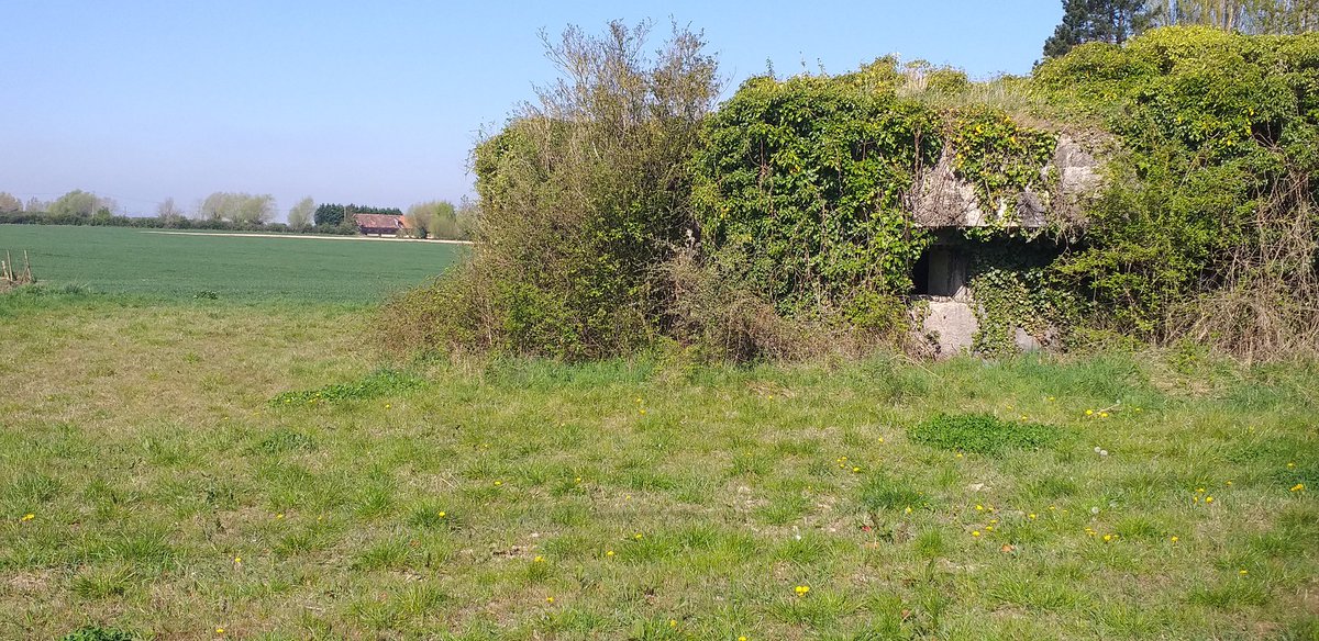 MoniotLaurent's tweet photo. 🌏 FFF-1796-20220416 📡🐾
🔎 53 QSO. That's a new very well experience 🐾
🧭 We continue the walking on the GR-128 Walkway to Cassel berg.
🍻 Thanks for the hunters 📡🌍
#hamradio #franceflorafauna #F8KGS #WWFF #GMA #aventure #GoGreen #radioamateur #XOTAWARDS https://t.co/p69uaPQn1E