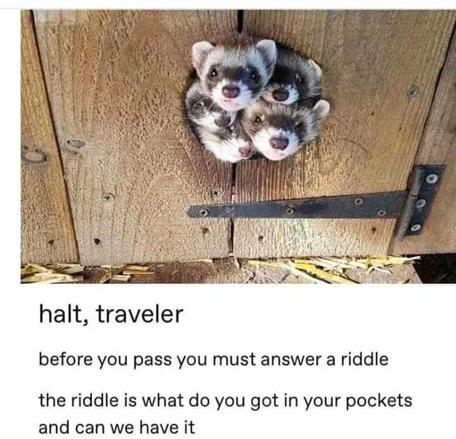 WholesomeMeme's tweet photo. https://t.co/w7BjaS2K89