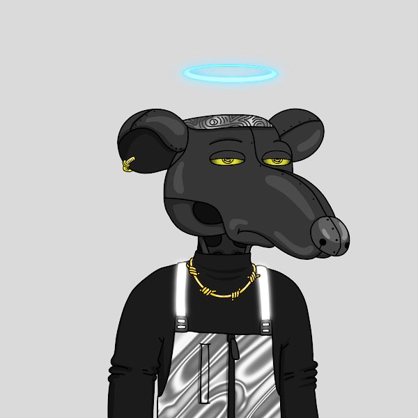 veharmse's tweet photo. Rolled the dice on this rat. #ganggang https://t.co/nVH5xp2lVb