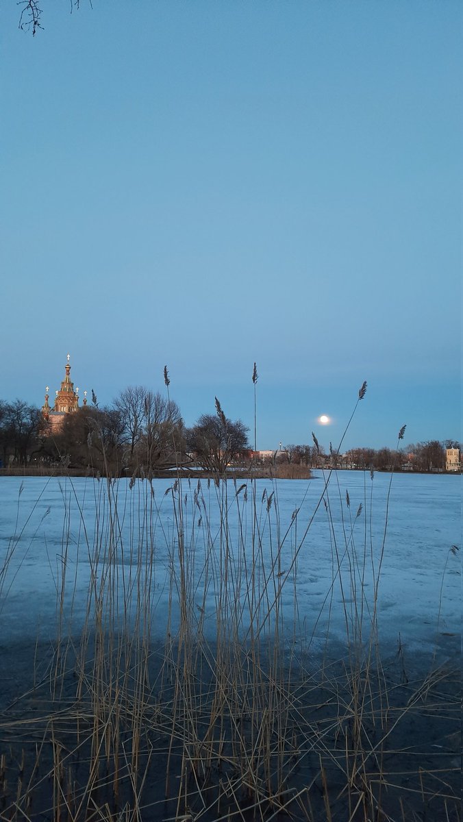 digital_zajac's tweet photo. I saw such a huge and beautiful moon on the way home. Maybe I should draw it? 🤔 #lifeeveryday https://t.co/QHNPv34rp4