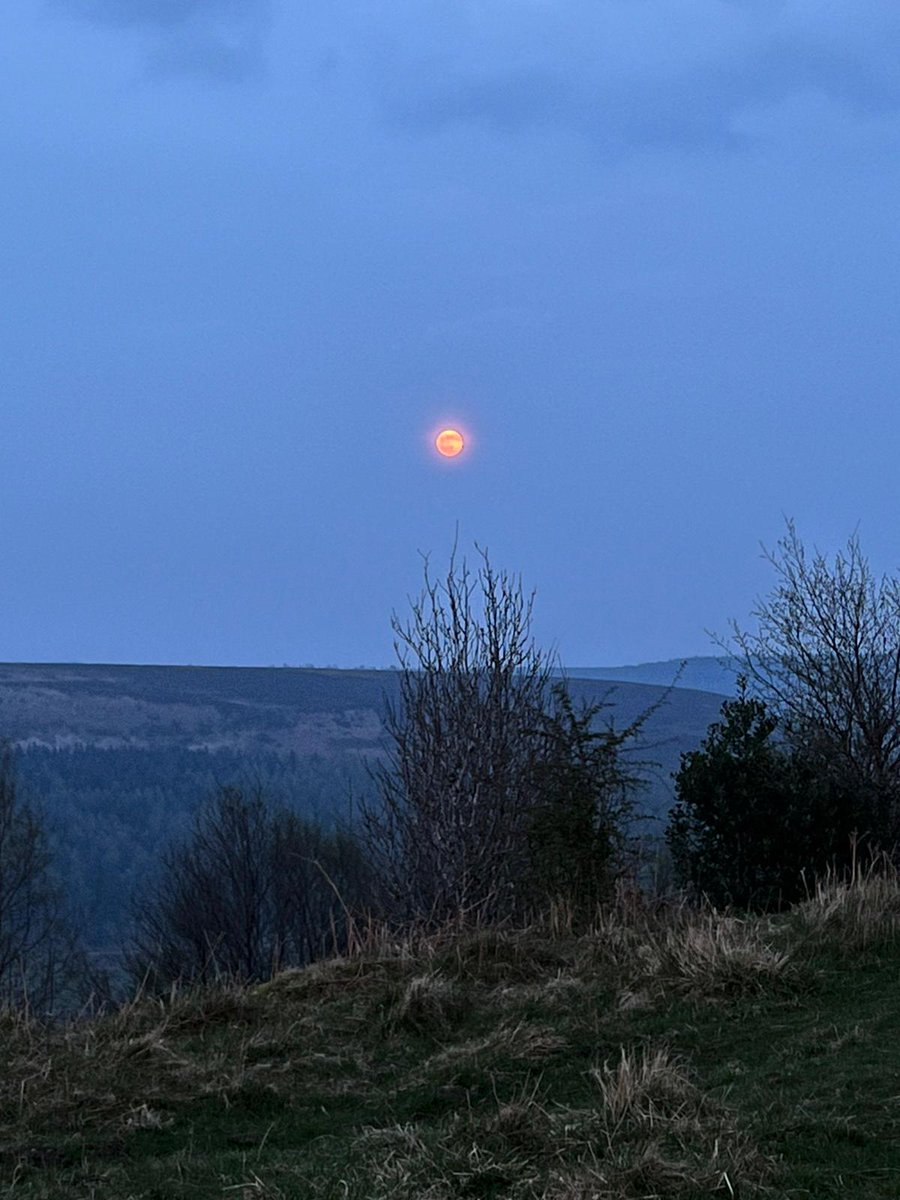 My brother <a href="/HannisWhittam/">Johannes (Hannis) Whittam</a> had a much better view from the North York Moors. Although naturally, his dog Neza is stealing the show here! 🤩 #moon