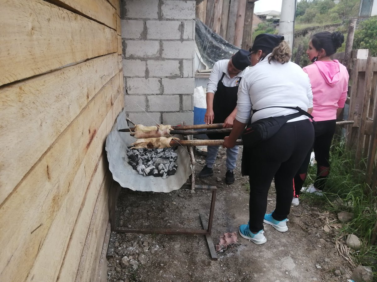 miradorictocruz's tweet photo. ¿Le apetece un cuy asado? Pues no dude en visitarnos #Ictocruzaltarcuencano #SomosTurismo #gastronomíamorlaca #cuencatutrip @JaimeLopezNovil @acastropiedra #feriadoseguro https://t.co/2FnassUmiF